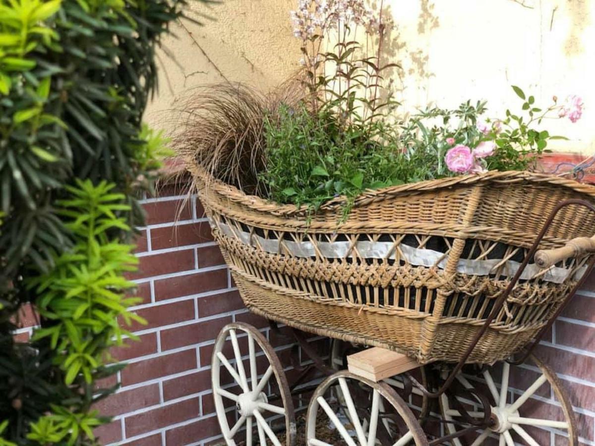 Tulipan Villa Panzio 솔노크 외부 사진